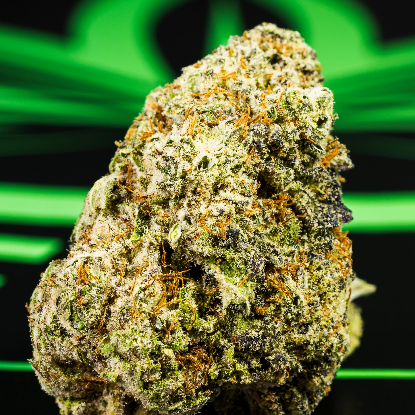 Legal Leaf Exotic THCA Flower: White Truffle