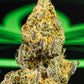 Legal Leaf Exotic THCA Flower: Best Kept Secret