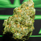 Leaf Exotic THCA Flower: Cherry Do-Si-Do