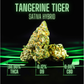 Leaf Exotic THCA Flower: Tangerine Tiger
